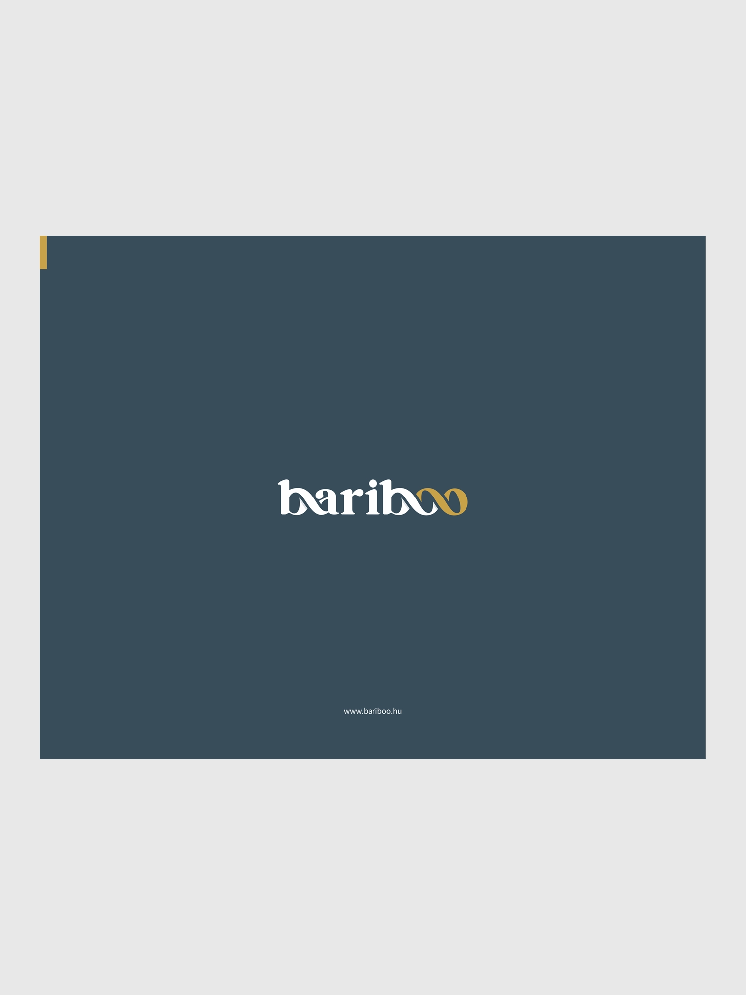 logo and branding - xsoft media