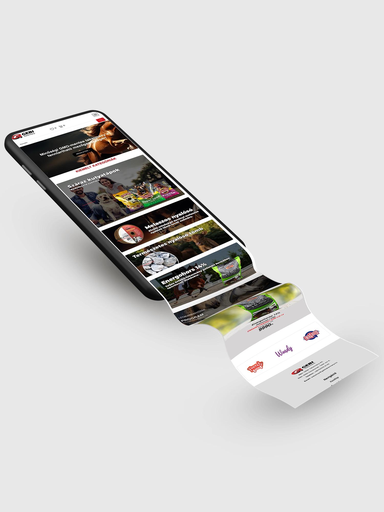 website development - xsoft media