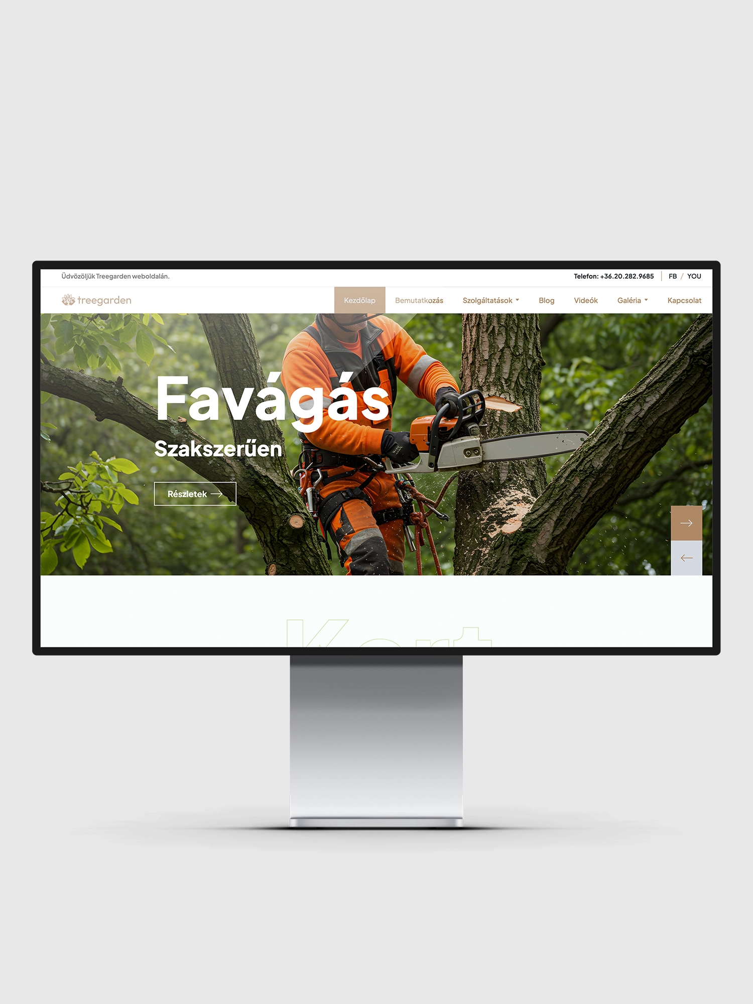website development - xsoft media